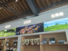 -杨家堂村