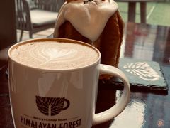 -喜马拉雅森HIMALAYAN FOREST