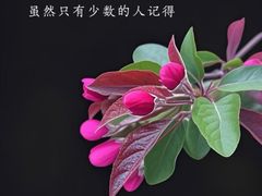 -曼朗心理咨询·旗舰店