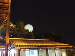 -巴倒烫陆派重庆火锅(南山店)