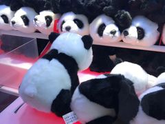 -汤姆熊欢乐世界(光启城店)