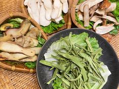 -滇野云南野生菌餐厅(陕西南路店)