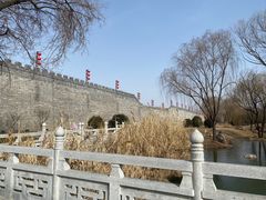 -洛阳市隋唐城遗址植物园