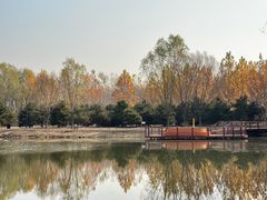 -东郊湿地公园