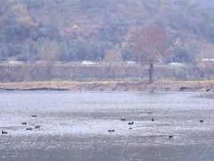 -宁波富邦荪湖山庄