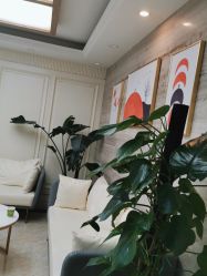 点击看大图 -凡碧诗毛孔清洁收细