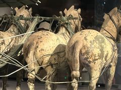 -秦始皇帝陵博物院-丽山园