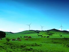 -塞罕坝国家级自然保护区