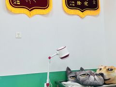 -利又安动物医院··老年病·猫科犬科·中兽医