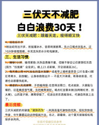 -Fundi张玉珊修身堂·indiba·BTL科技瘦身