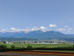 -富田农场