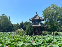 -莲池书院博物馆