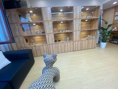 -猫十亿·布偶金渐层·曼基康矮脚猫舍(青年路店)