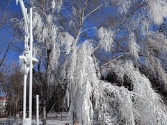 -沈阳奥体冰雪嘉年华