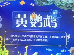 -白鹿仓冰雪海洋世界