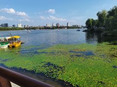 -长春市南湖公园