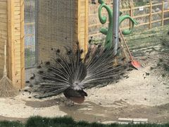 -红山体育度假乐园