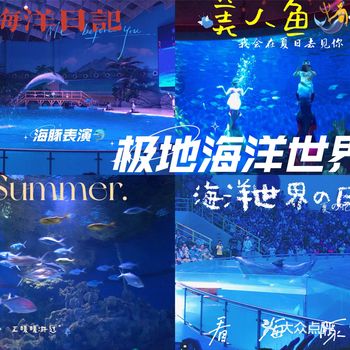 如果浪漫有颜色那一定是来自武汉极地海洋世界的蓝色