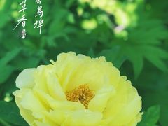 -太阳宫公园