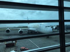 -西沃古尔·拉姆古兰爵士国际机场