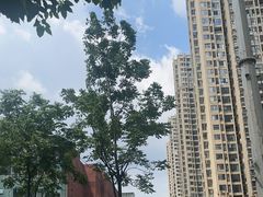 -砂之船长沙奥莱