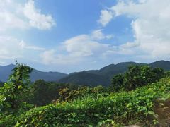 -广州市石门国家森林公园