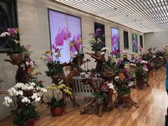 -兰陵国家农业公园