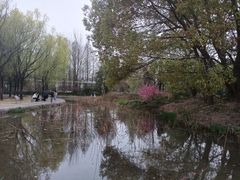 -洛阳市隋唐城遗址植物园