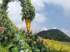 -广州市石门国家森林公园