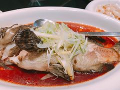 清蒸老虎斑-徐记海鲜(陕西历史博物馆|明德门店)