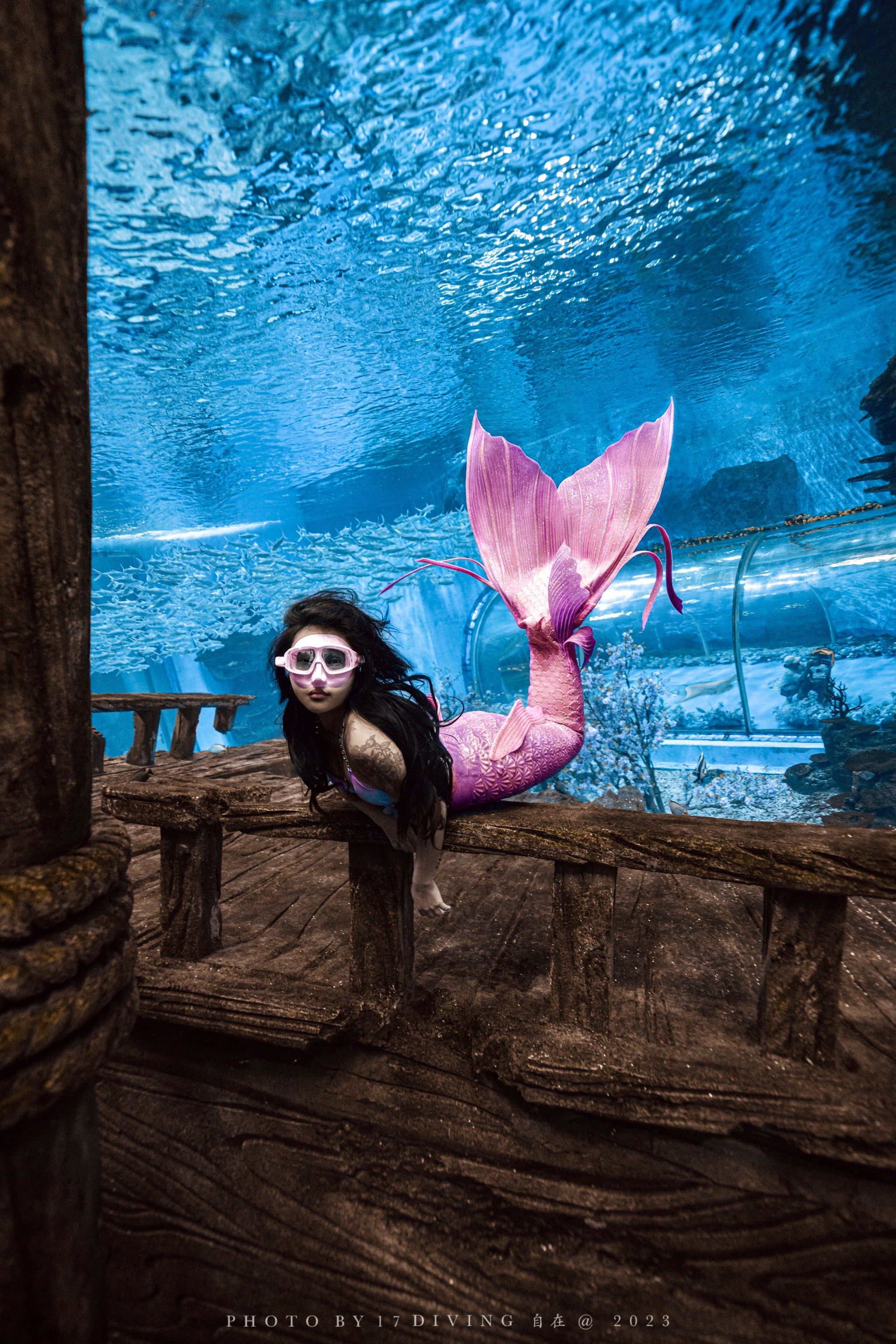 17潜水,重庆海洋馆水下摄影粉色美人鱼