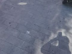 -永存驴肉(桃园店)