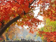 -共青国家森林公园-售票处