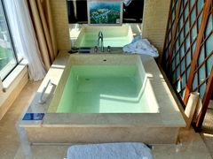-宜春明月山维景国际温泉度假酒店