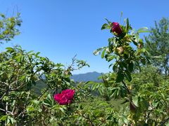 -阳台山自然风景区