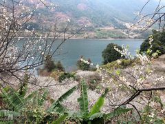 -广州市流溪河国家森林公园