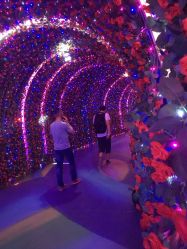 -嗨翻Hi-Fun竞技主题乐园·蹦床团建生日聚会(五棵松华熙店)