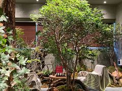-森SPA·泰式按摩·精油Massage(宝安中心店)