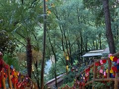 -巴倒烫陆派火锅山庄(南山总店)