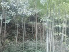 -黄公望隐居地