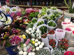 -秦美花卉(天朗·莱茵小城2期店)