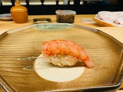 -焘