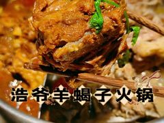 -浩爷羊蝎子火锅(望京店)