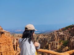 -元谋土林景区(物茂土林)