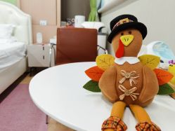 -杭州贝瑞斯美华妇儿医院·早孕·产检·儿科