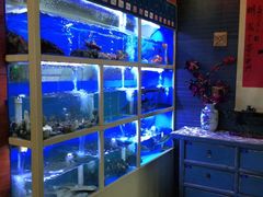 水产区-泮金大塘(北二七路店)