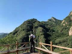 -大岭沟猕猴桃谷风景区