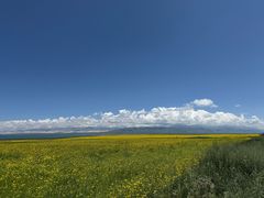 -青海湖国家重点风景名胜区