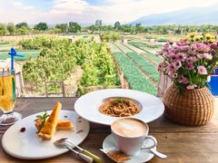 -翠田Green Field Kitchen