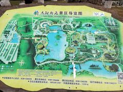 -太阳部落